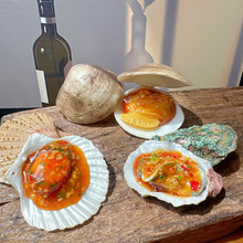 仿真蒜蓉生蚝假粉丝扇贝模型炭烤烧烤道具玩具牡蛎子装饰食物