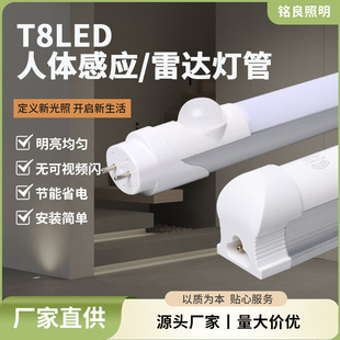 �S��ֱ��t8����1��2һ�w�����w�Б��չ�������o��led�L�l؛�ܟ�