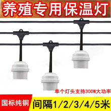 JC؟Bֳ͸ߜʳﱣůһwˮ