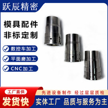 专业镶针镶件模芯模仁冲针冲头 模具配件标准件精密非标零件加工