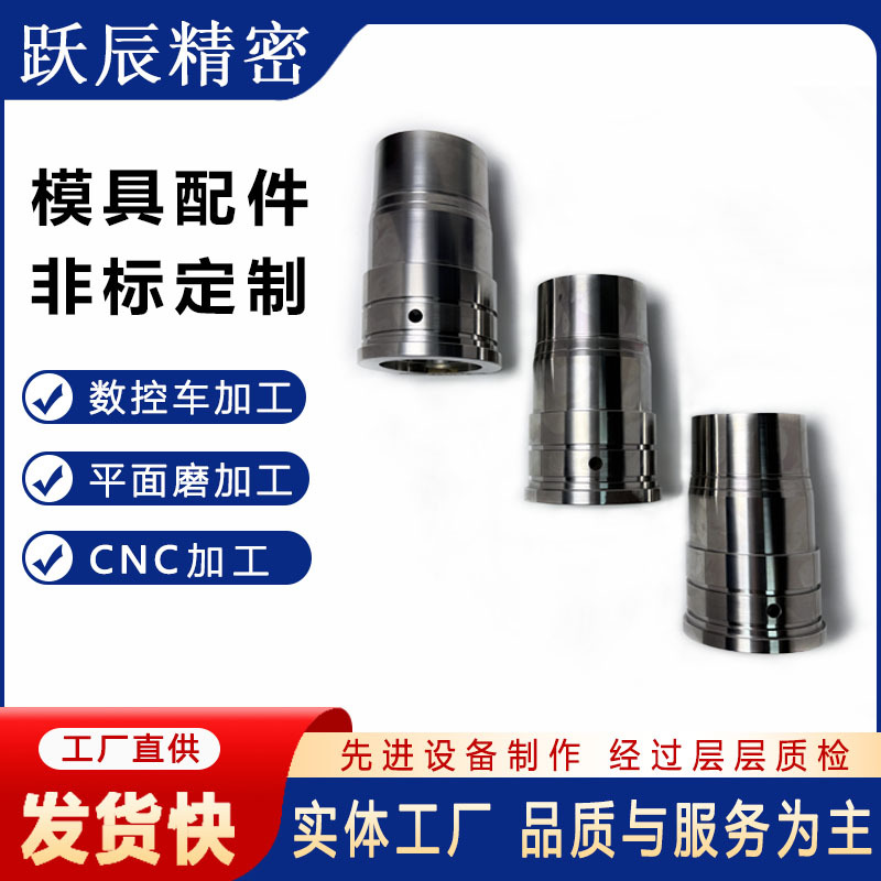 专业镶针镶件模芯模仁冲针冲头 模具配件标准件精密非标零件加工