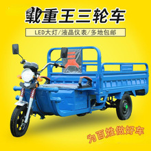 新国标电动三轮车载重王成人拉货三轮快递车新款家用电瓶车农用车