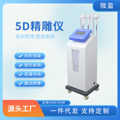 5D精雕器美容院専用の体の形の振動マッサージ