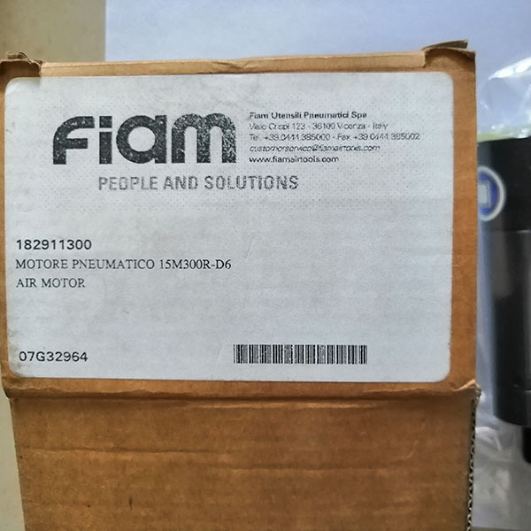 Italian FIAM Motor 15M300R-D6 thumbnail-2