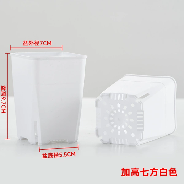 [加高七方白色]
