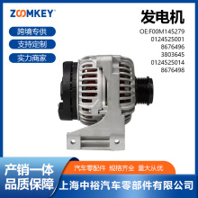 ��܇������m����֠���S40 S6060�l늙CF00M145279 0124525001