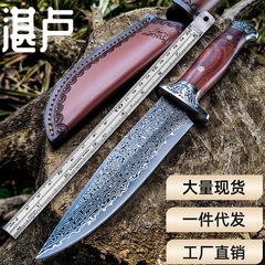 湛卢フルーツナイフ キャンプ用ハンドル付き肉切り包丁 ダマスカスアウトドアナイフ 高硬度サバイバルナイフ 携帯ナイフ ナイフケース