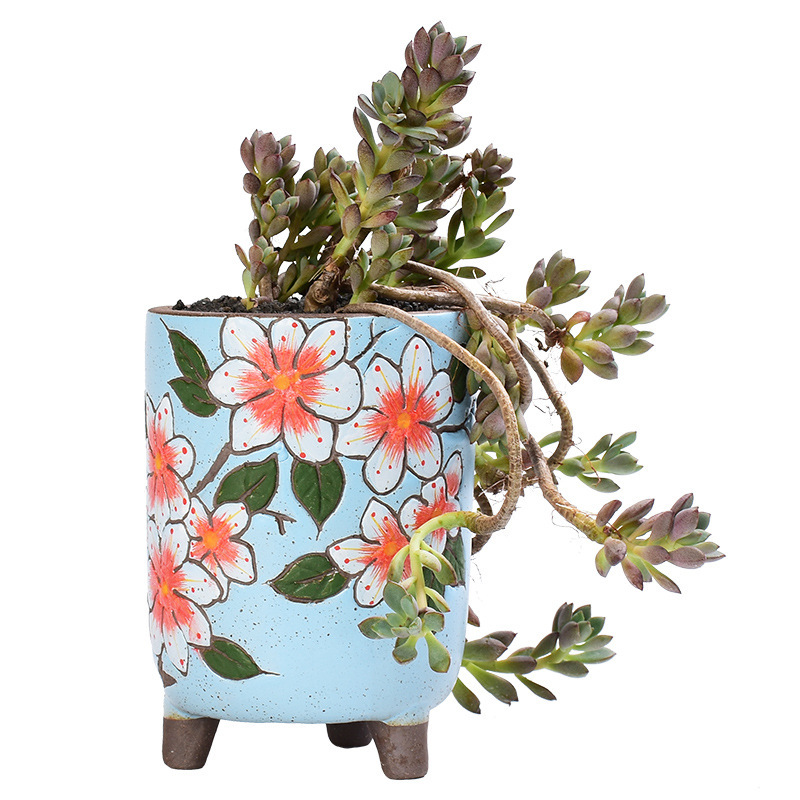 Coarse Pottery Fleshy Medium Ceramic Hand-painted Creative Distinctive Household Pastoral Meat Raising Medium Tall Small Old Pile Basin