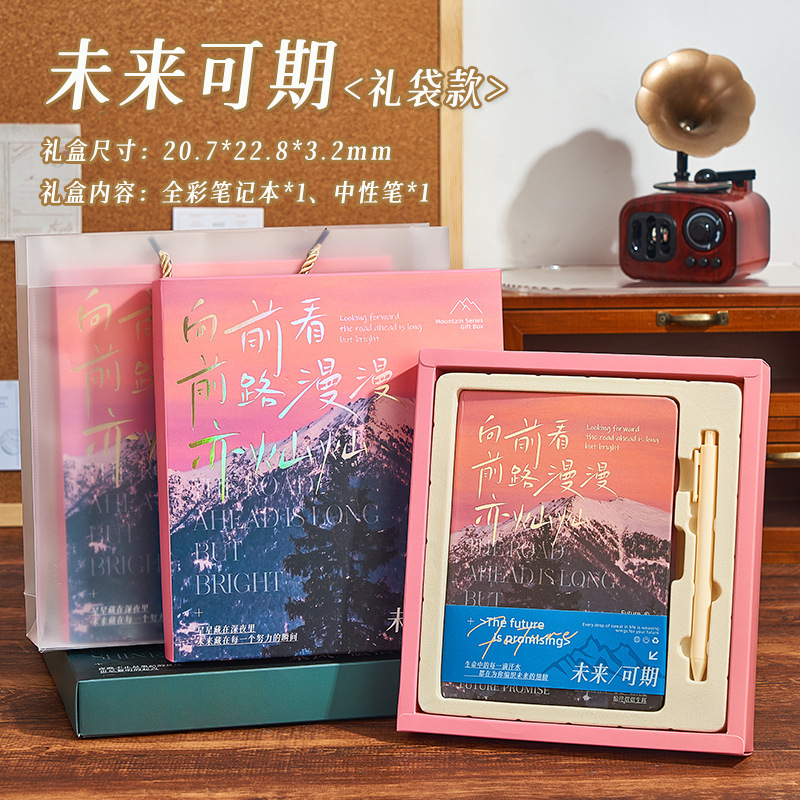 Juhao ノートブックセット ギフトボックス 日記 小学生向け 高価値 シンプル インス風 手元帳 ホットスタンピング|undefined