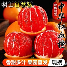 【血橙】秭归中华红血橙卡拉红橙脐橙橙子水果多甜橙现摘鲜果手剥