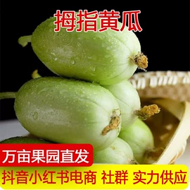 苹果;柑桔;梨