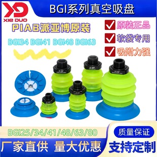 PIAB������PG.BGI25/34/41/48/63-2S50.B3/B1.S1.G38/14/18M.00