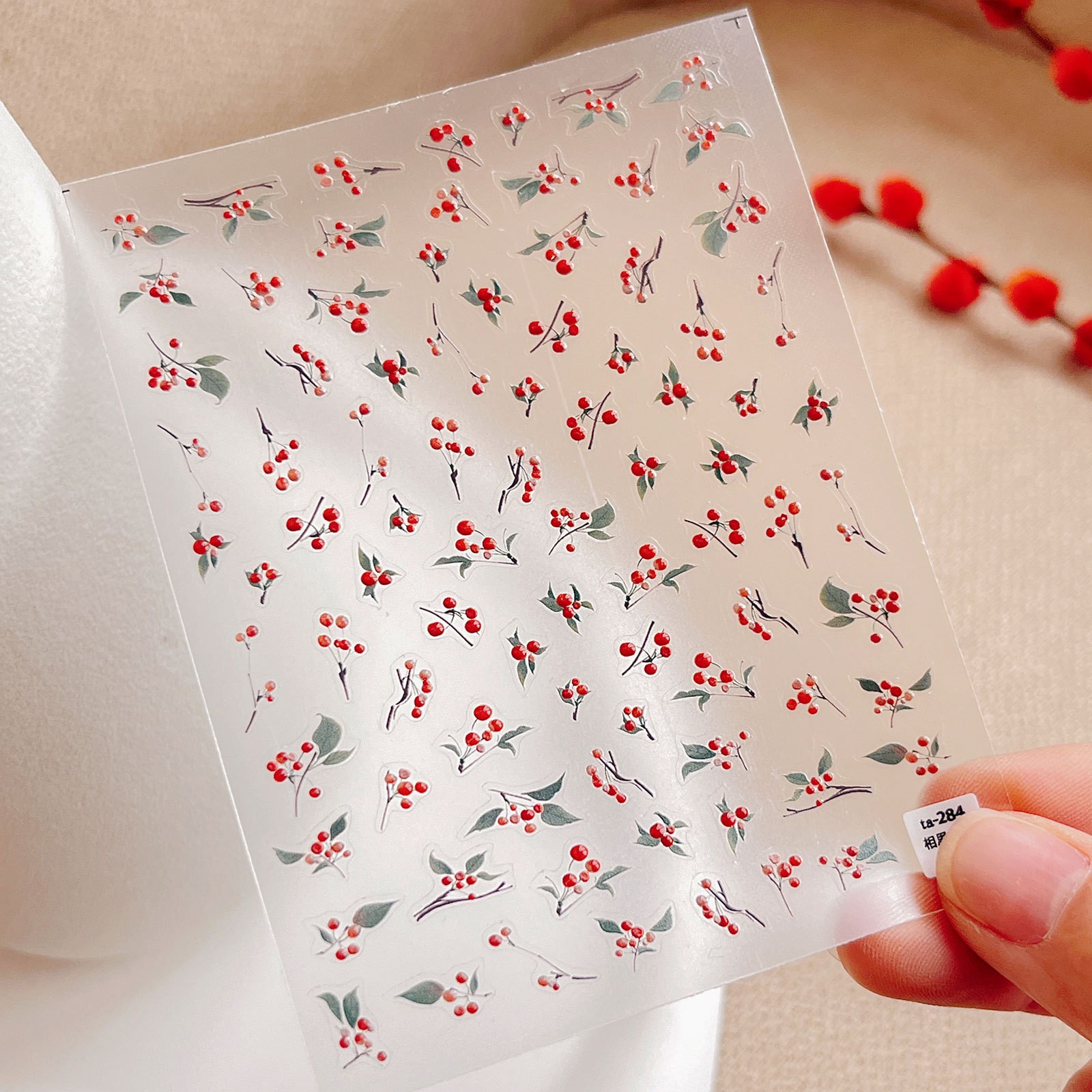 아카시아빈젤리타입-ta284