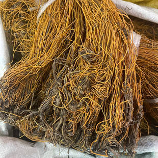 ��ς��y���a�r��ɽ؛��z�Rβɏ���خa��؛��؛