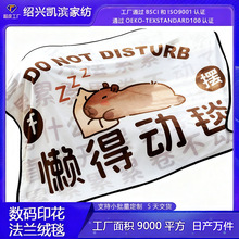 定制法兰绒数码印花毛毯卡通动漫盖毯热转印牛奶珊瑚绒礼品毯子