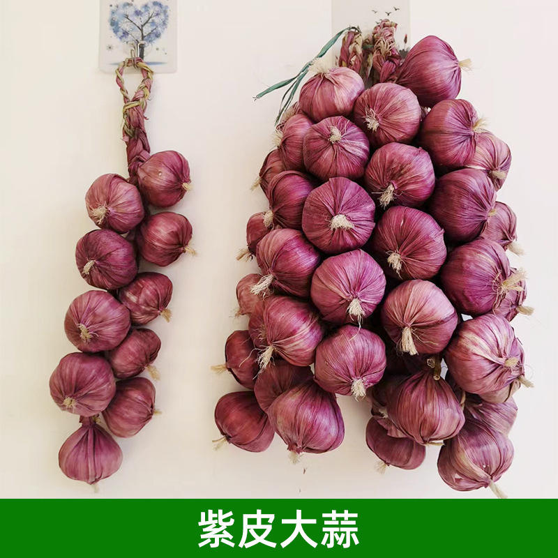 擬似野菜果物掛串偽トウモロコシ唐辛子ニンニク農家楽ホテル装飾品農作物模型掛串|undefined
