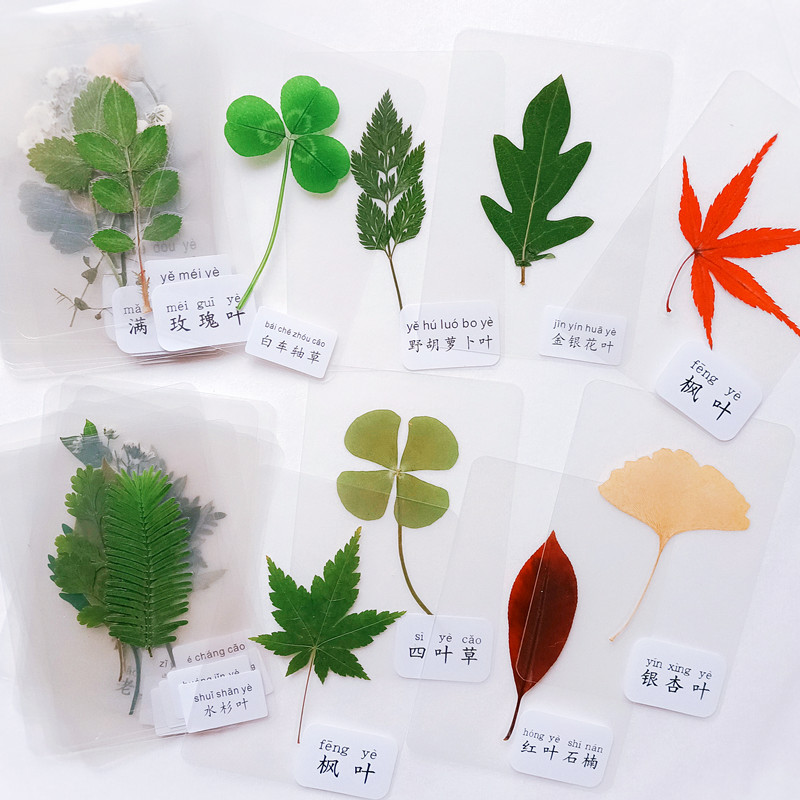 O_1652256528363_副本