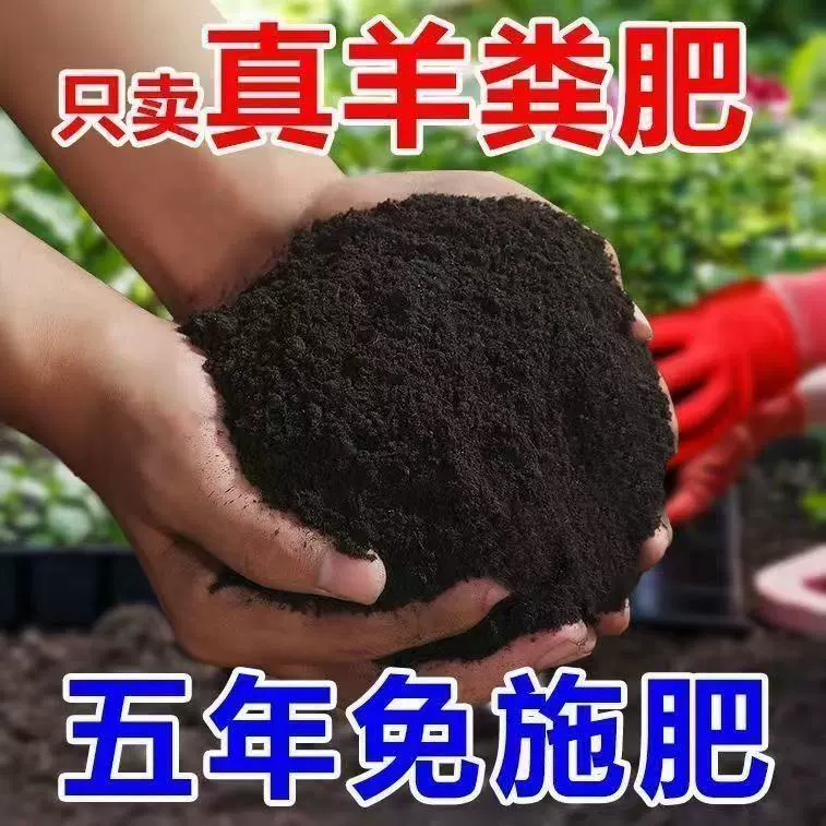 Ферментация овечьего навоза Органическое удобрение для овощей