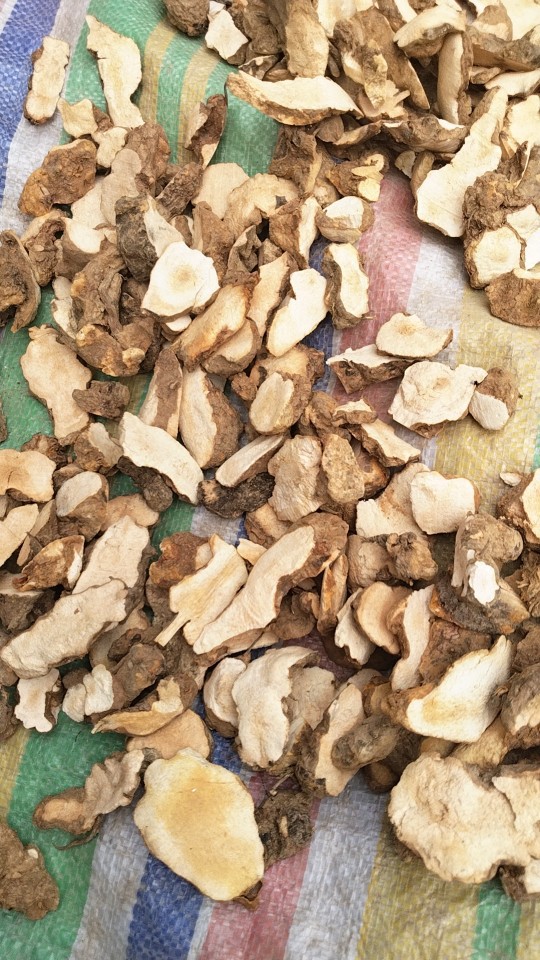 Dried Smilax Glabra Slices Tu Fu Ling 500g Hunan Starchy Rhizome for Tea and Soup in use