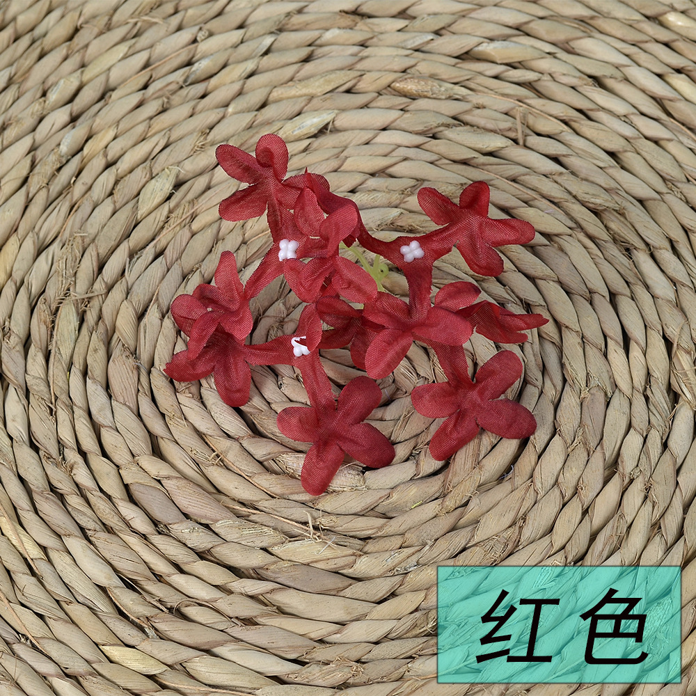 적십자 벚꽃 머리