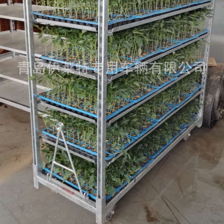 厂家直销荷兰花车，花卉层车，花园工具台车， 拉板网育苗车