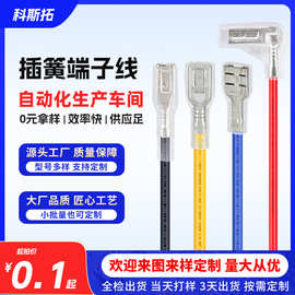 插簧端子线2.84.86.3旗型110187250插片插拔式接线束FDD FDFD定制