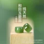 纯天然a203切药佛珠手链