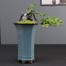 简约紫砂盆六方兰花盆花卉绿植物盆栽大号手工花盆悬崖老桩盆栽盆