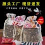 驱蚊婴儿孕妇家用香薰
