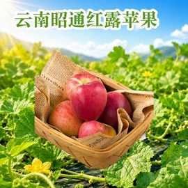 桃子;梨;苹果