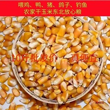 10����]��؛�r����ʽ���������s�Z��~��Cι�u���Z�����S������