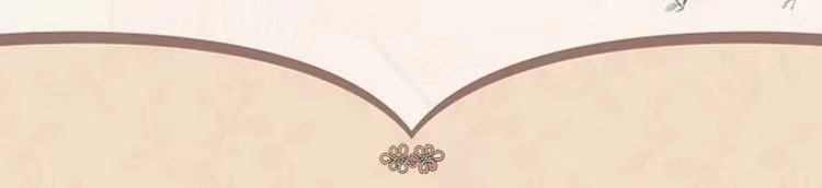Hanfu-Style Bellyband Lingerie Set with Sleeves, Skirt and Briefs — detail image 4