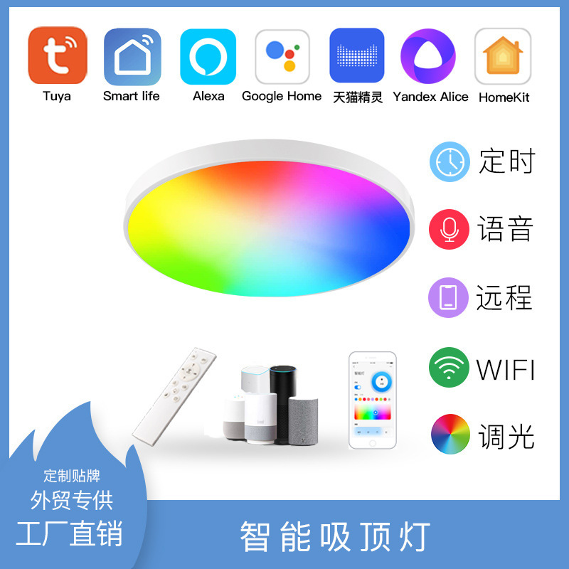 Graffiti smart ceiling light WiFi Bluetooth 2.4g remote control dimming color HomeKit smart home Siri