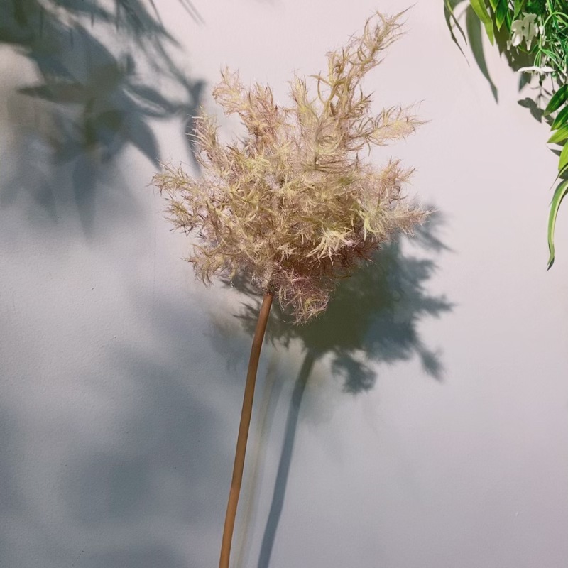 微信图片_20240711114731