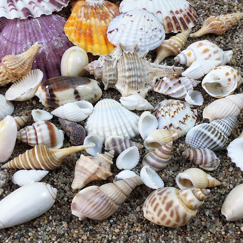 IMG_8704_CWAMfU_副本