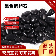 �F؛���l�Z��ʯ�@���·ͥԺ�쾰�[ʯ��Ȼ�����b�ɫ�����껨ʯ