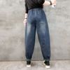 Autumn retro harem jeans, trousers for leisure, with embroidery, oversize, plus size