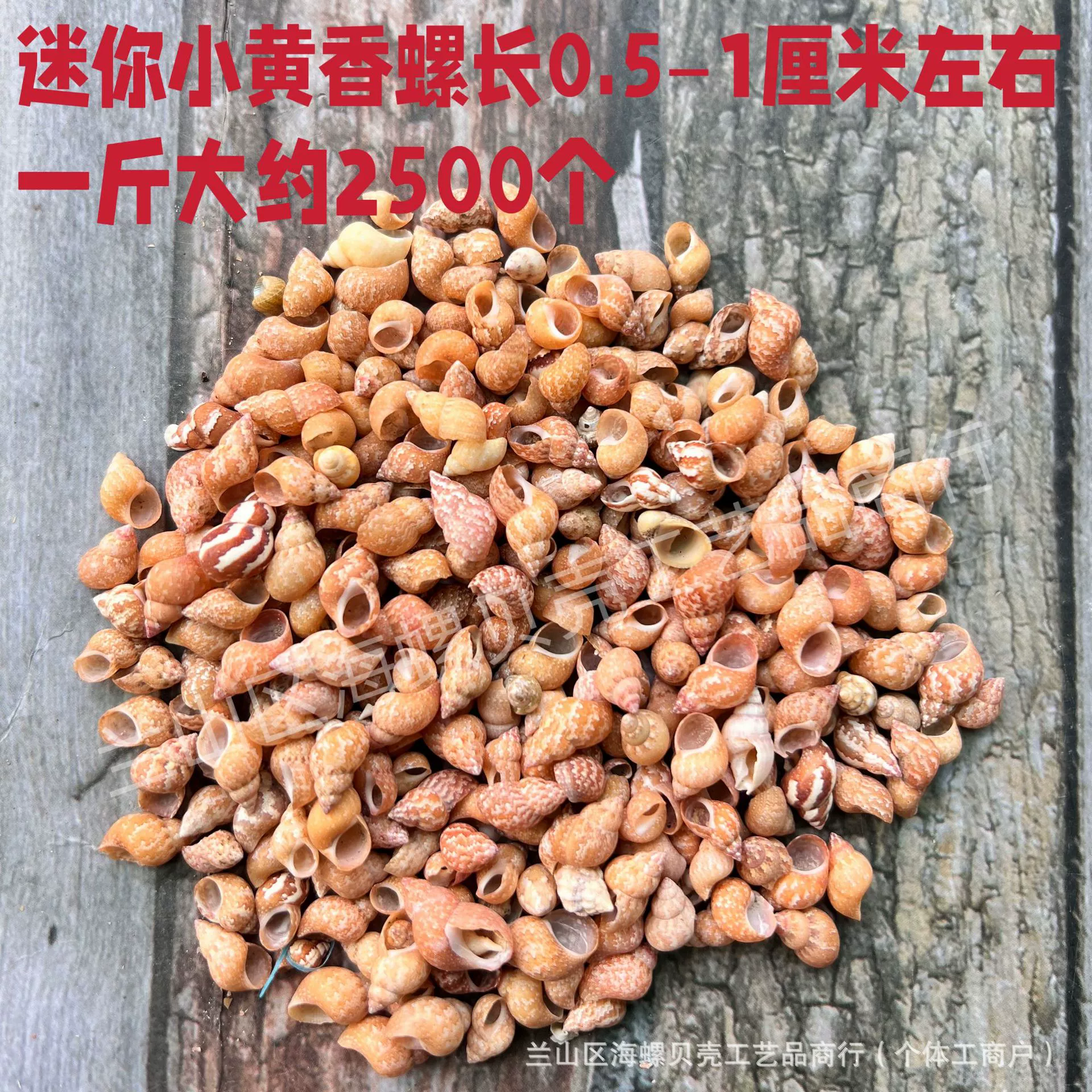 Shell Natural Shell Conch Stars Drifting Bottle Shell Crafts Wholesale Diy Handmade Shell Materials