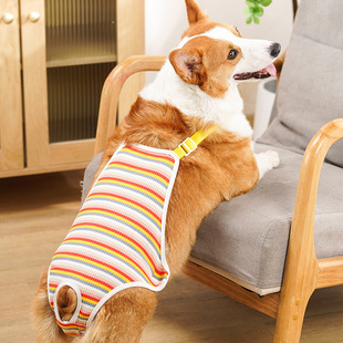 Pet dog cotton physiological pants female dog Teddy Corgi bear fadou Bago menstrual period aunt female jumpsuit