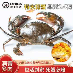 �����з�r��r���l ��з�ϼ�����з�r��2��-2.4������з