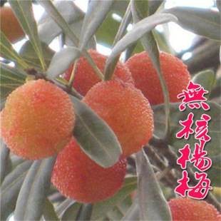 ���~���|����÷����ݩ�j��̿��÷���������t���ϱ��������玧��