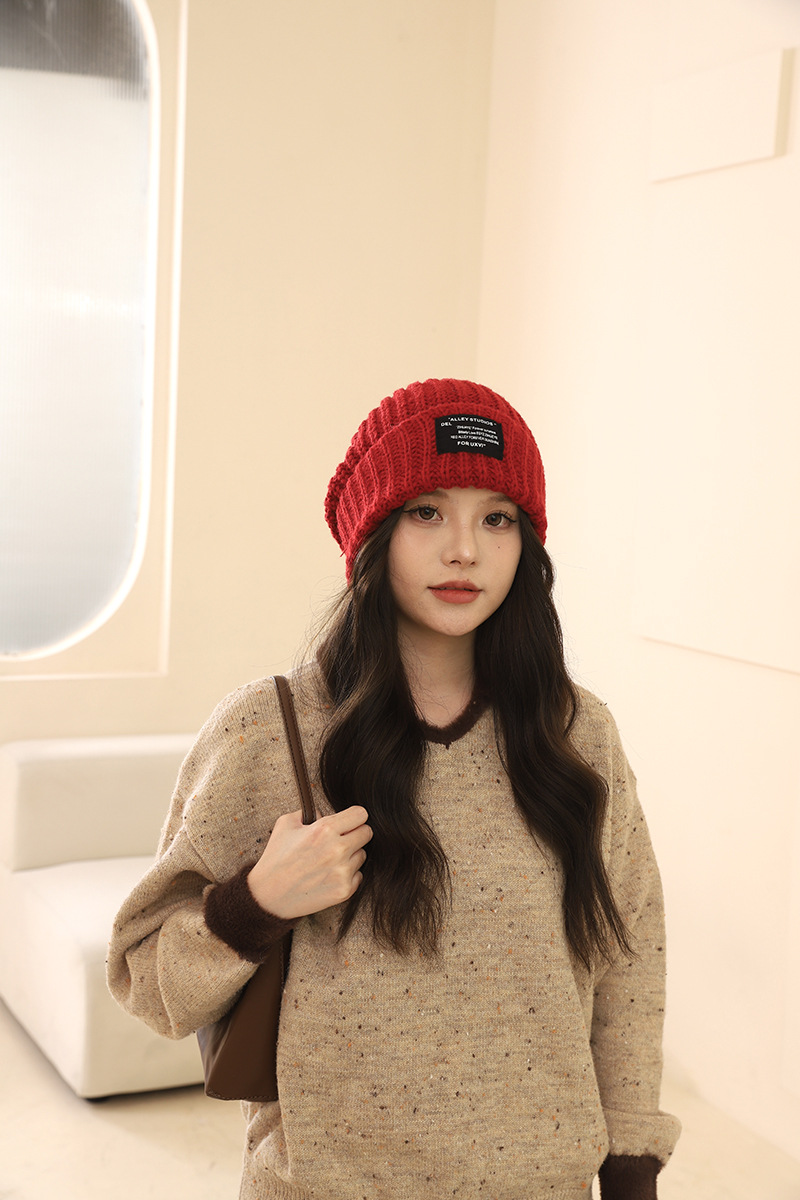 Lana oversize tinta unita per autunno e inverno, pile lavorato a maglia, versione coreana, coppia femminile all'aperto, escursioni calde_voghion.com