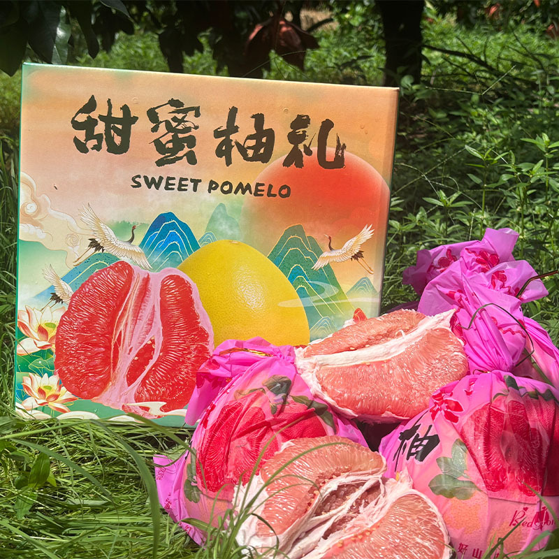 Fujian Pinghe Sanhong pomelo red heart pomelo seasonal fresh pomelo picked and shipped whole box 5 jin 9 jin gift box