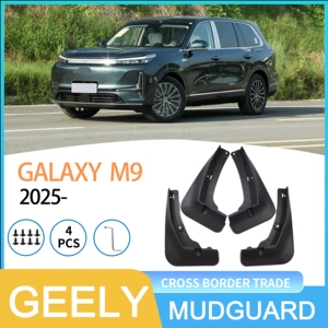 Geely Galaxy M9 2025-ci il üçün avtomobil təkər qanadı