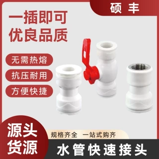 ppr水管快速接头免热熔直插式管件20三通4分6分25管快接弯头球阀
