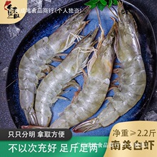 新日期原装进口厄瓜多尔大虾20-30规格新鲜Q弹海鲜鲜虾虾鲜活速冻