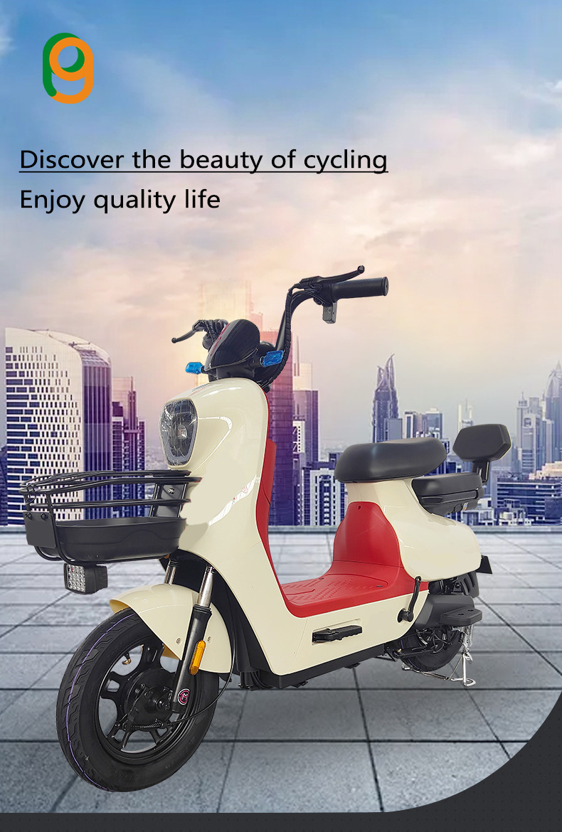 Compact Electric Bicycle Custom Commuter