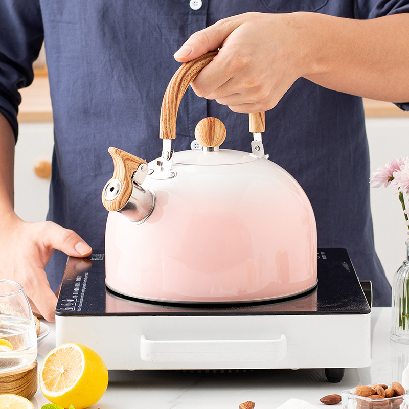 Hervidor de agua de silbato transfronterizo Gradiente rosa 3L botella de silbato plano al por mayor botella de silbato de acero inoxidable transfronterizo europea y americana
