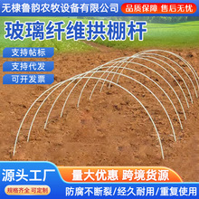 拱大棚骨架搭棚杆子拱棚种菜玻璃纤维杆配件小支架棚架架子新型