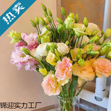 ����r��ֱ�l�B����۹��҃�ֱ�������͏d�r���k���Ҳ廨�[��